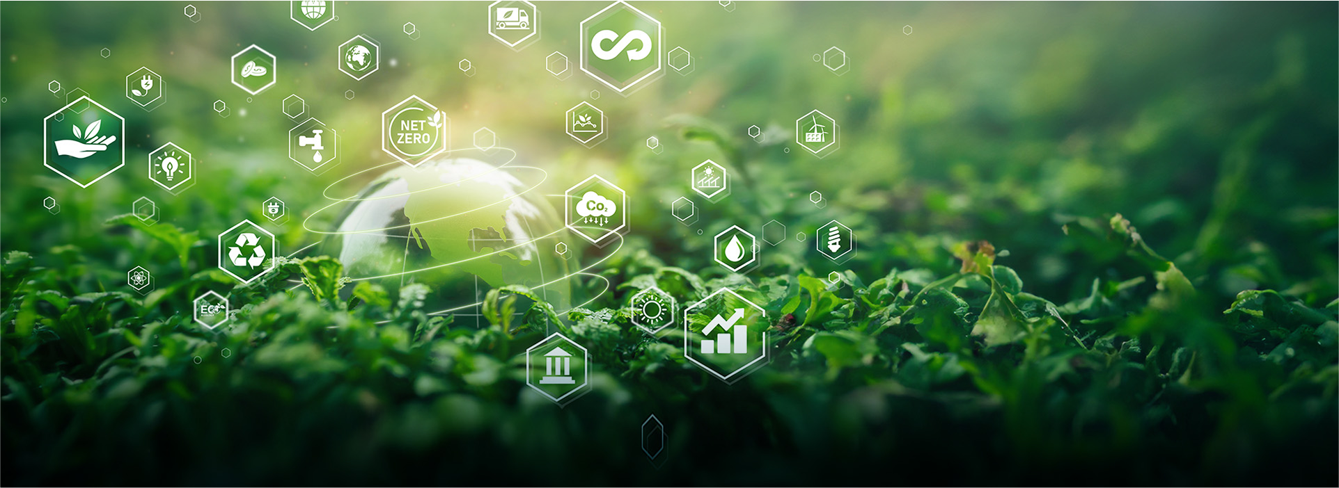 Sustainable<br>Process